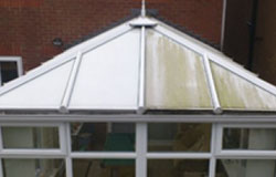 Condervatory Cleaning