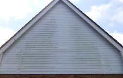 Pure Water Window Cleaning